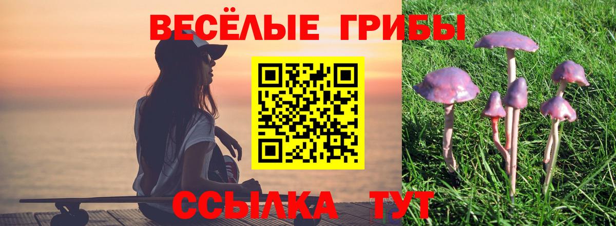 Псилоцибиновые грибы Psilocybine cubensis  Вход с VPN  Вольск 